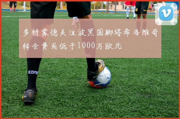 多特蒙德关注波黑国脚塔希洛维奇转会费或低于1000万欧元