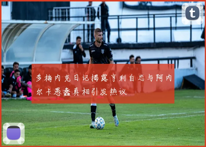 多梅内克日记揭露亨利自恋与阿内尔卡愚蠢真相引发热议